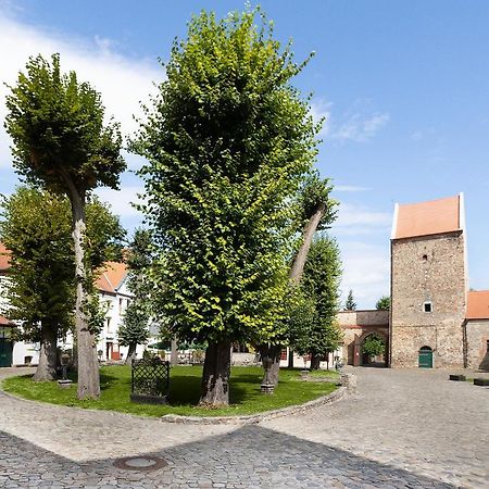 Wasserburg Zu Gommern Dış mekan fotoğraf
