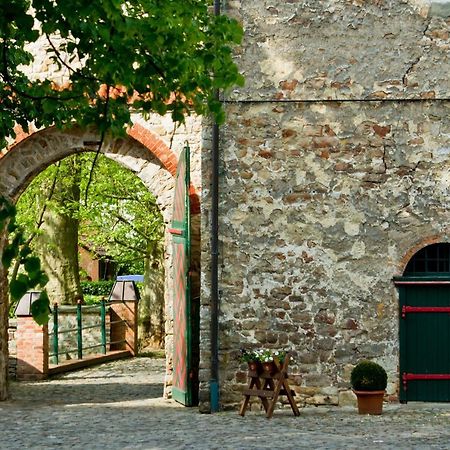 Wasserburg Zu Gommern Dış mekan fotoğraf
