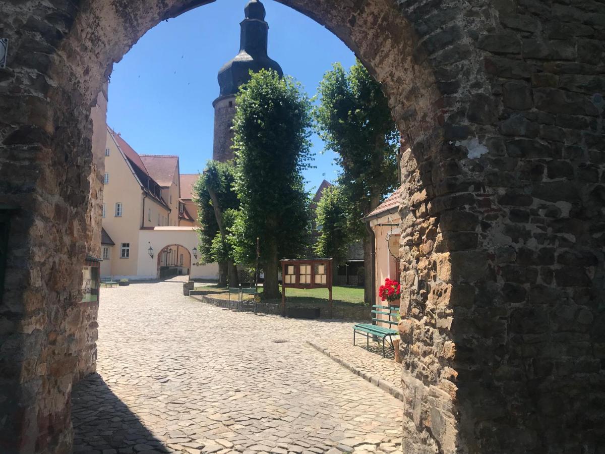Wasserburg Zu Gommern Dış mekan fotoğraf