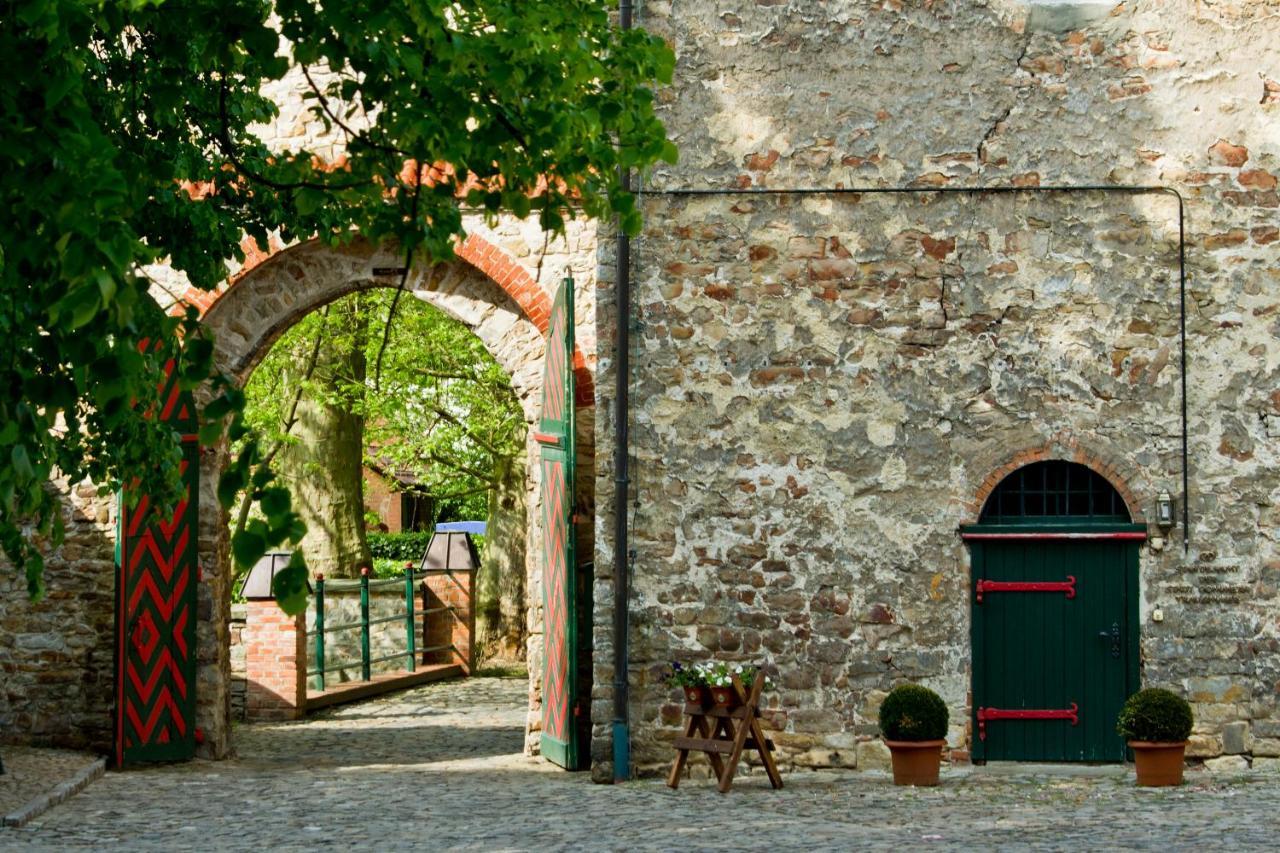 Wasserburg Zu Gommern Dış mekan fotoğraf